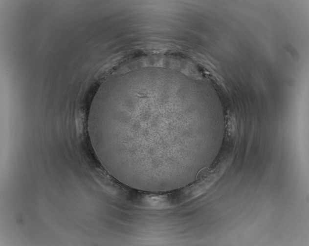 X0000112760283200908271626