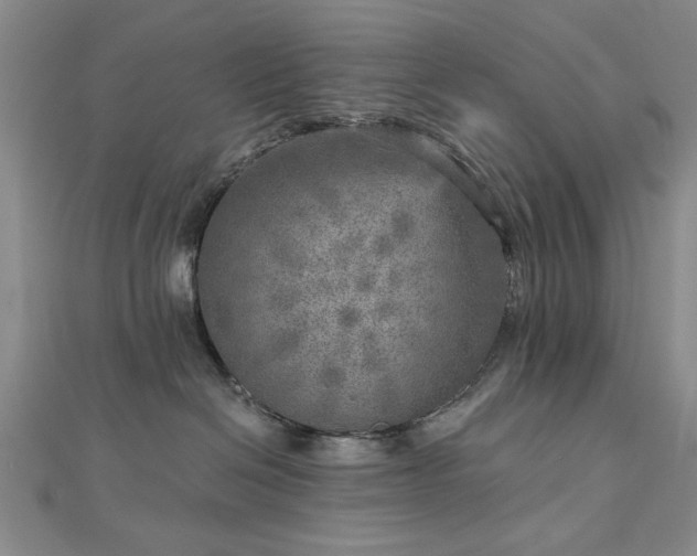 X0000112760286200908271626