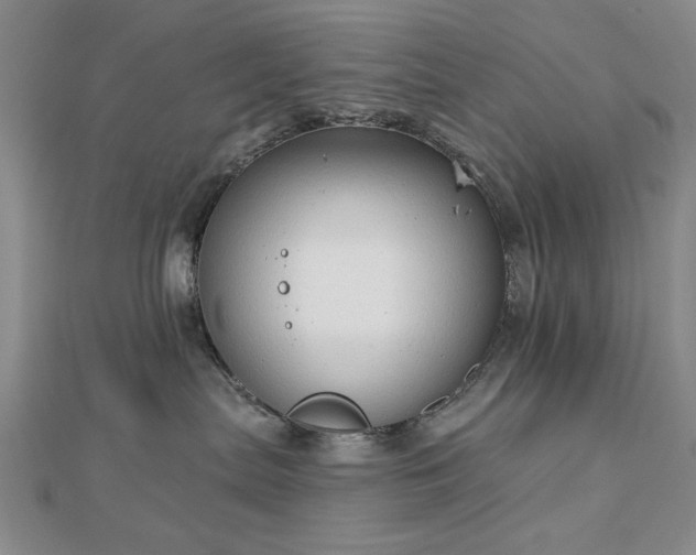 X0000112760287200908271626
