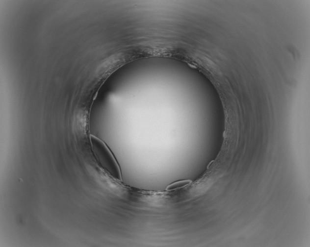 X0000112760288200908271626