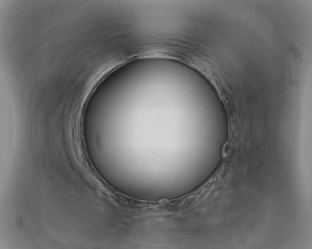 X0000112760289200908271625