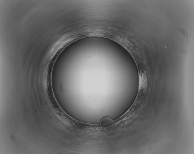 X0000112760291200908271625