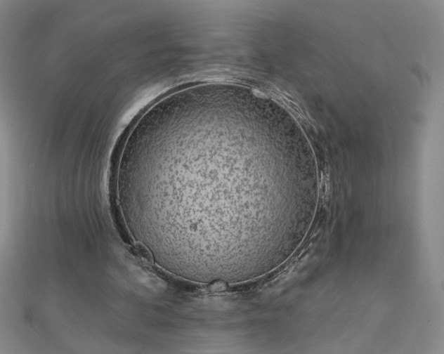 X0000112760292200908271625