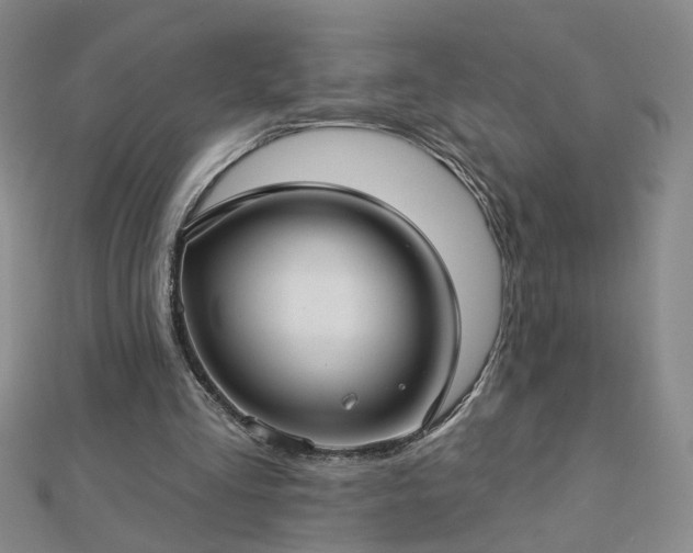 X0000112760293200908271625