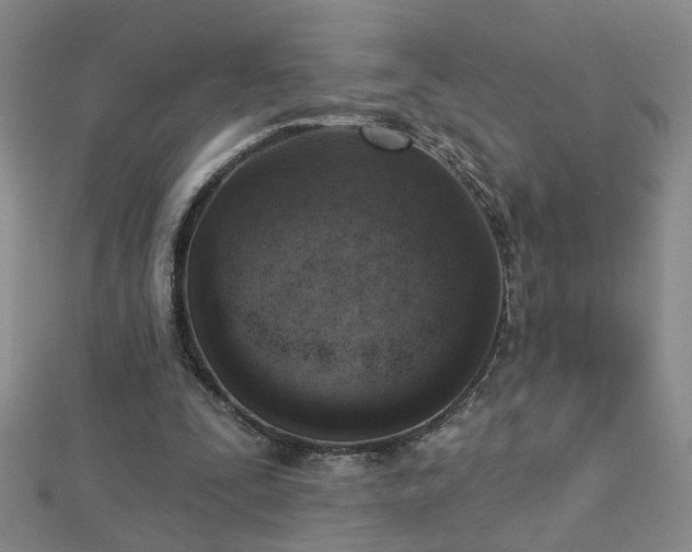 X0000112760295200908271625