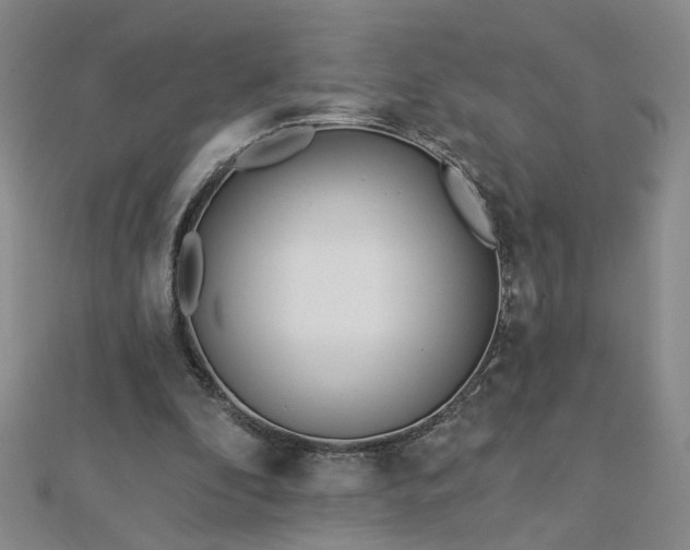 X0000112760296200908271625