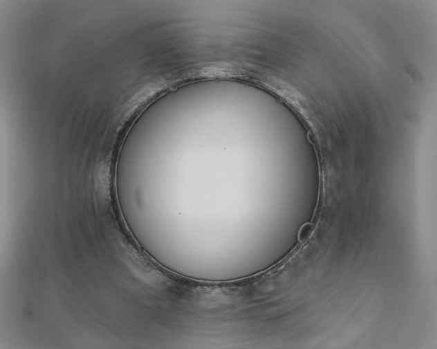X0000112760297200908271625