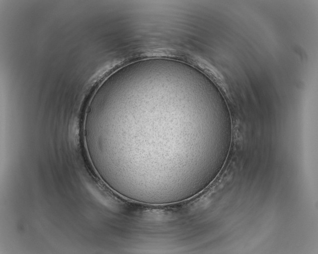 X0000112760298200908271625