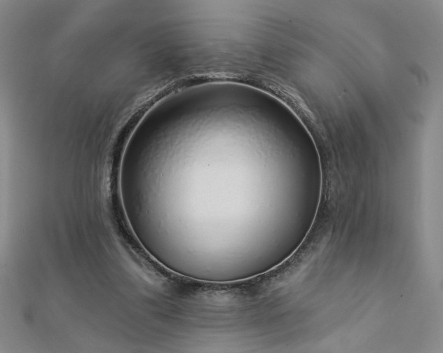X0000112760299200908271625