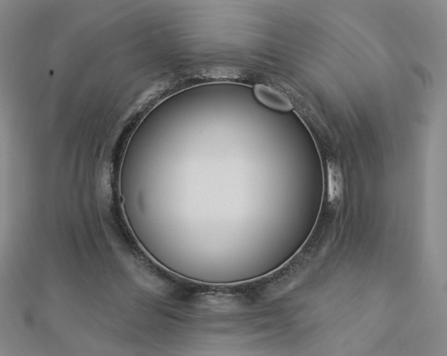 X0000112760300200908271625