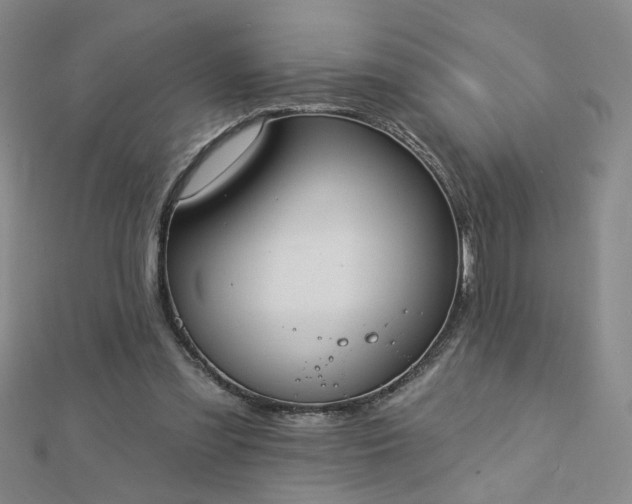 X0000112760301200908271625