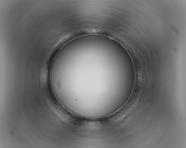 X0000112760304200908271625