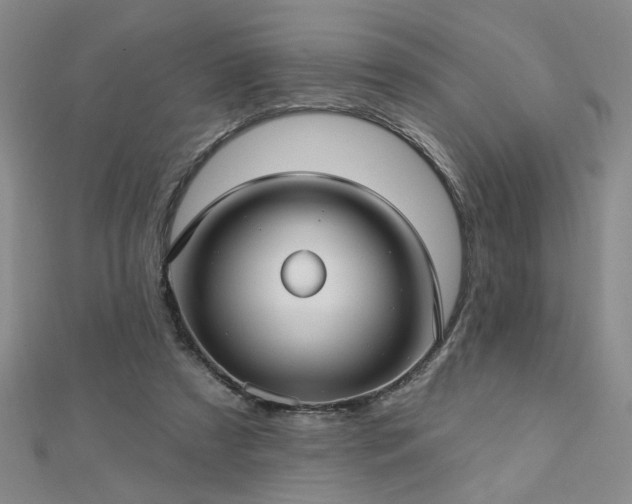 X0000112760305200908271625