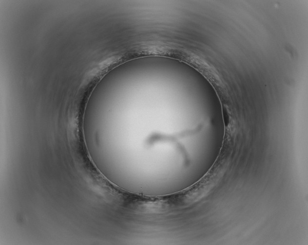 X0000112760306200908271625