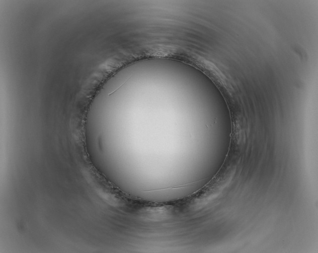X0000112760307200908271625