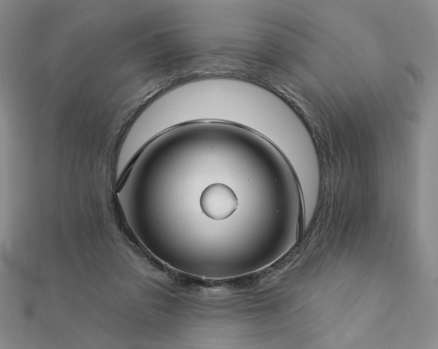 X0000112760309200908271625