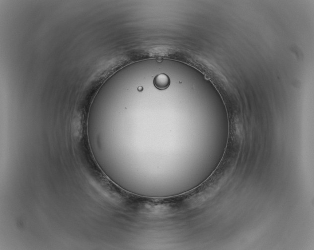 X0000112760311200908271625