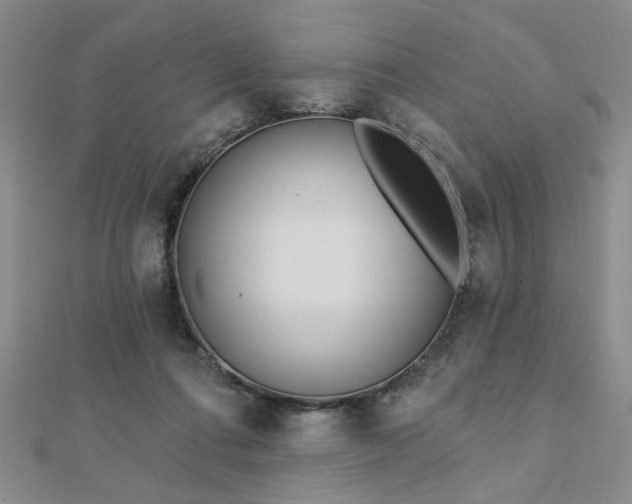 X0000112760312200908271625