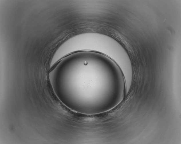 X0000112760313200908271625