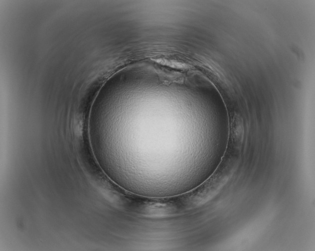 X0000112760315200908271625