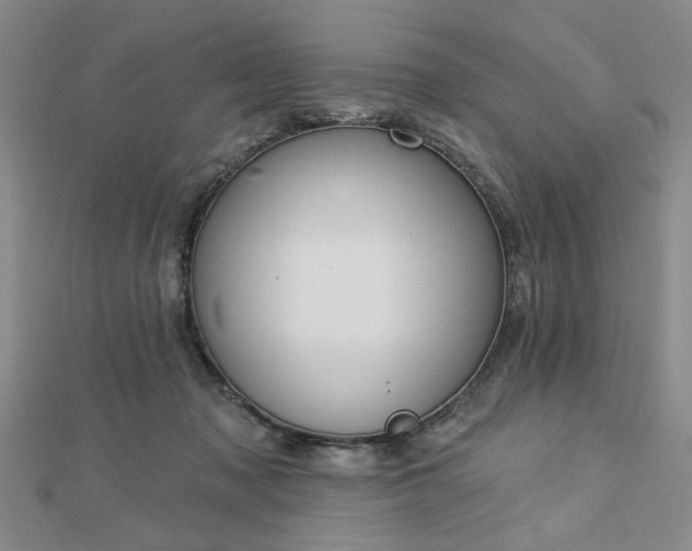 X0000112760317200908271625