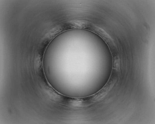 X0000112760318200908271625