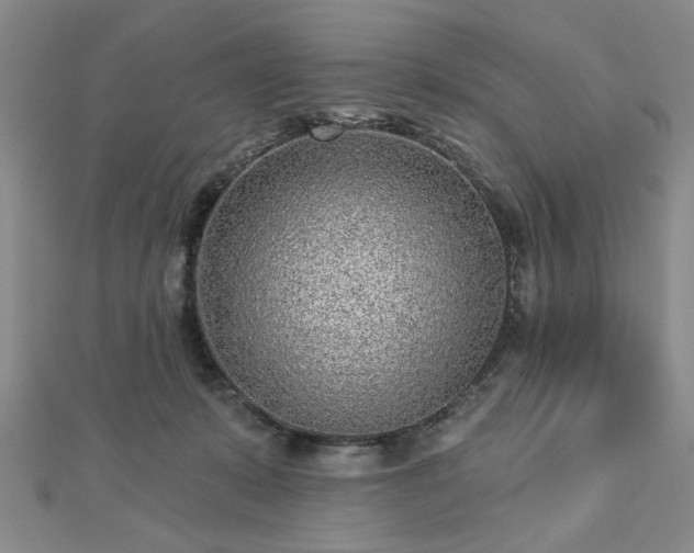 X0000112760319200908271625
