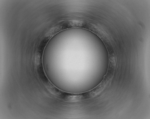 X0000112760323200908271625