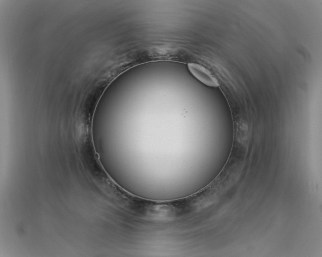 X0000112760324200908271625