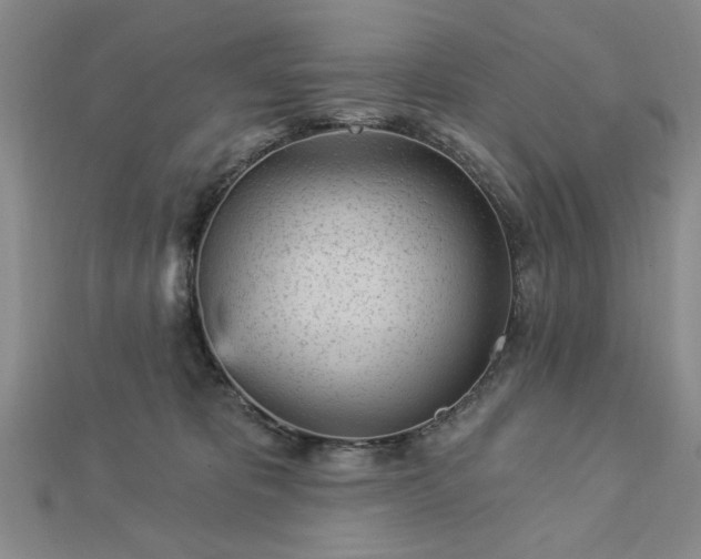 X0000112760325200908271625