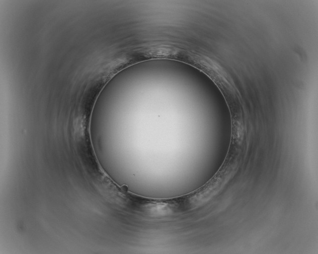 X0000112760326200908271625