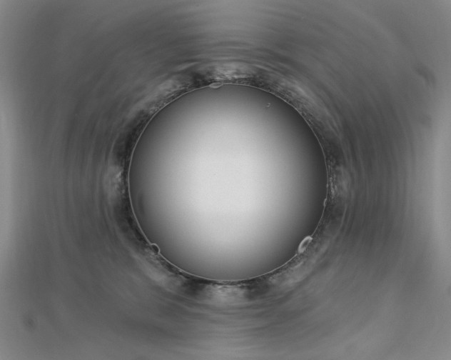 X0000112760327200908271625