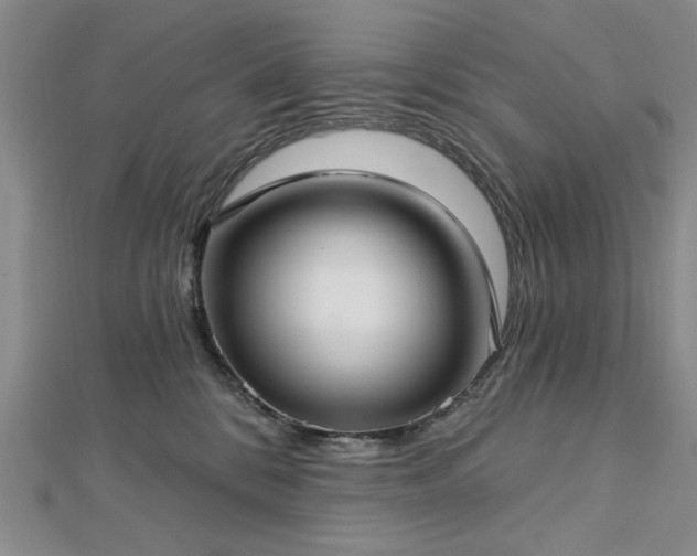 X0000112760328200908271625