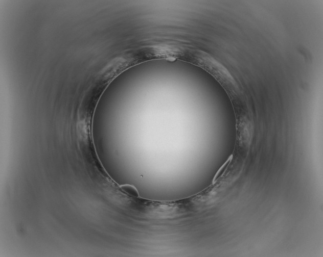 X0000112760329200908271625