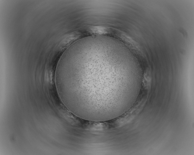 X0000112760330200908271625