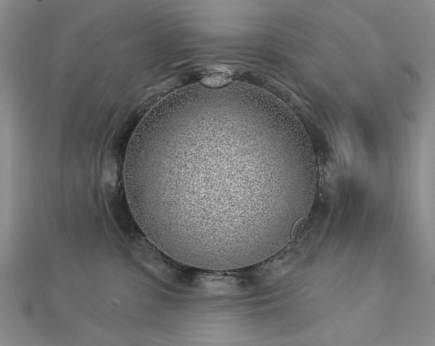 X0000112760331200908271625