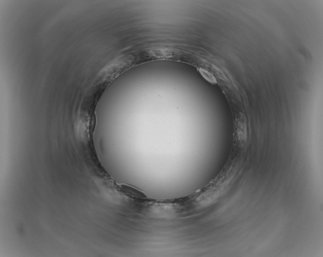 X0000112760332200908271625