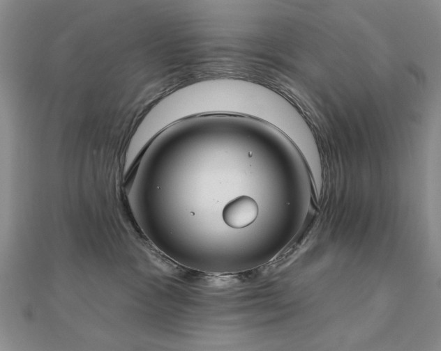 X0000112760333200908271625