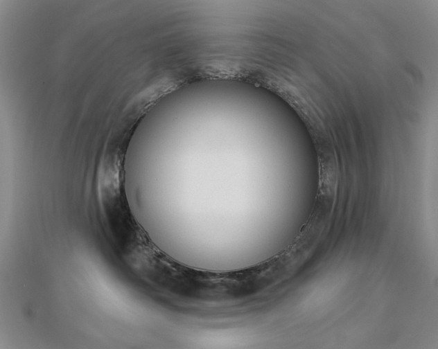 X0000112760334200908271625