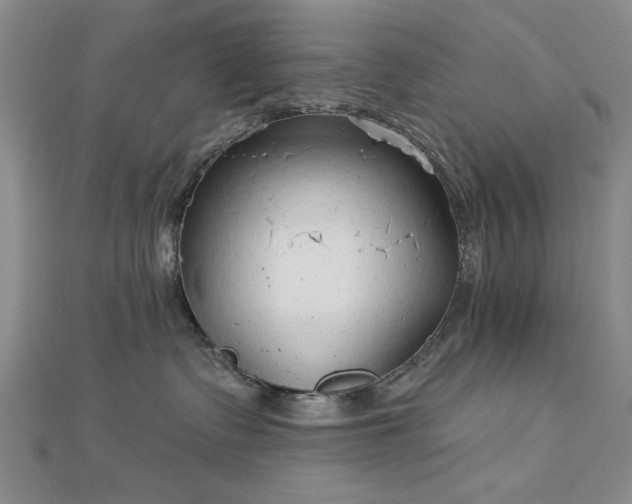 X0000112760335200908271625