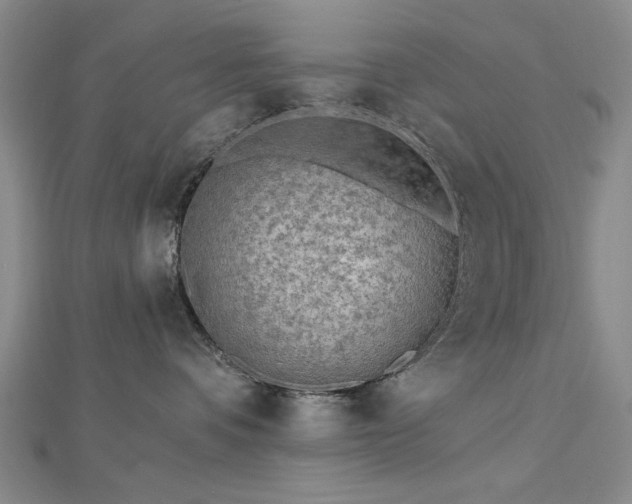 X0000112760336200908271625