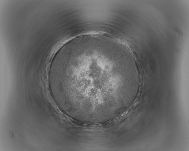 X0000112760337200908271624