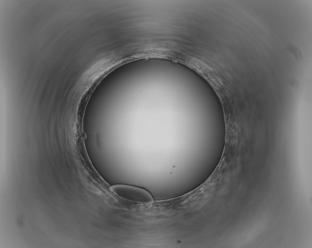 X0000112760338200908271624