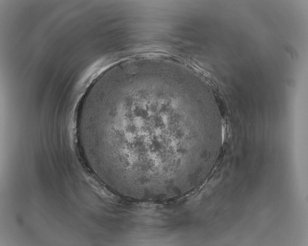 X0000112760339200908271624