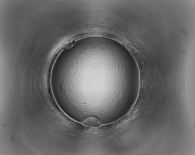 X0000112760341200908271624