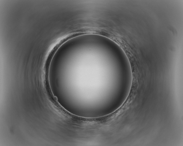 X0000112760342200908271624