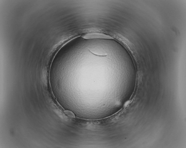 X0000112760345200908271624