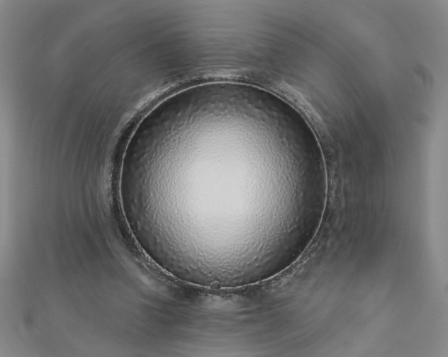 X0000112760346200908271624