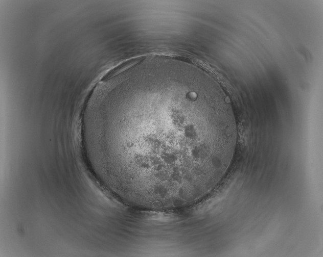 X0000112760347200908271624