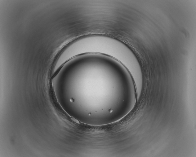 X0000112760348200908271624